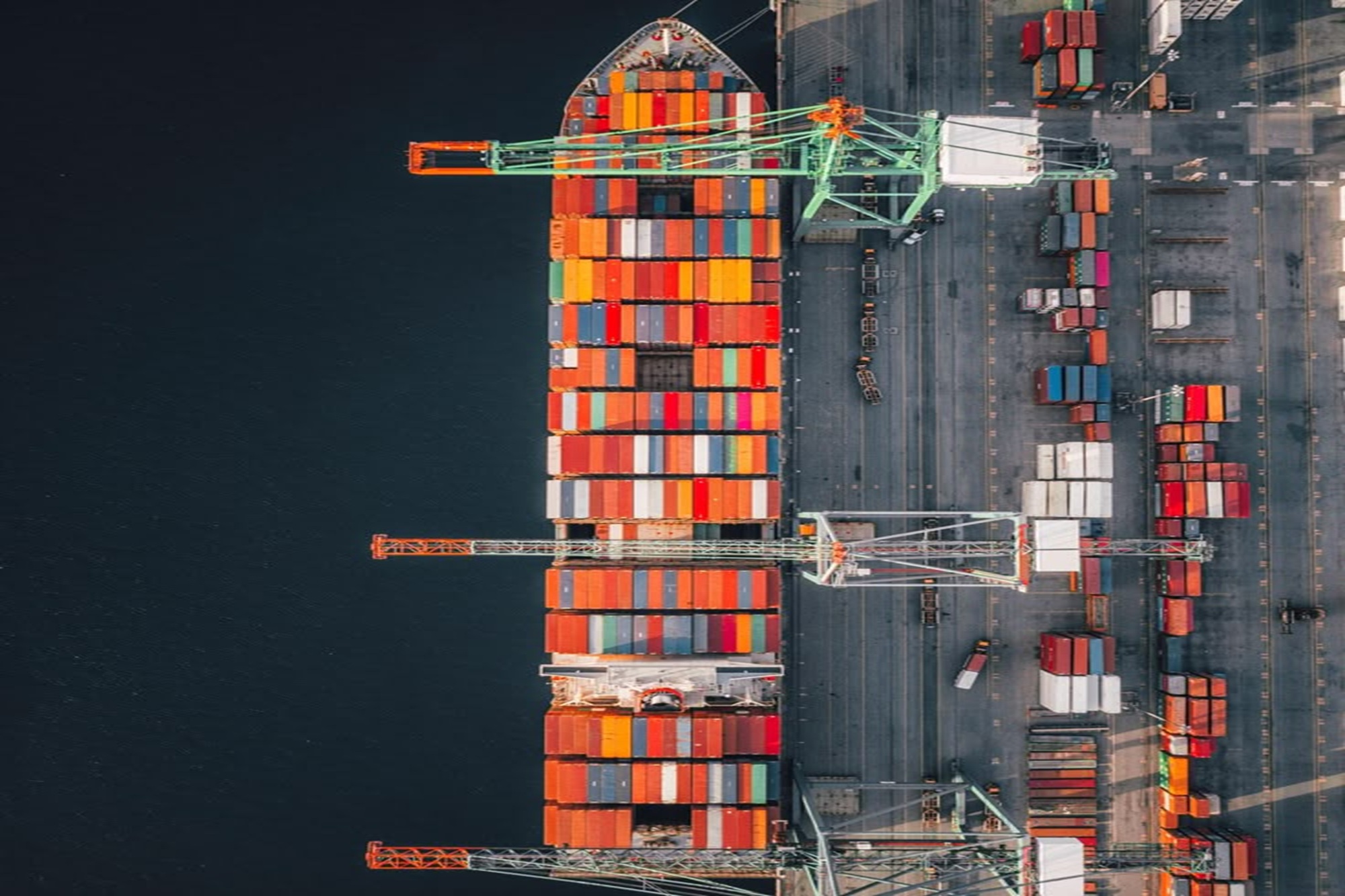 Importation Services